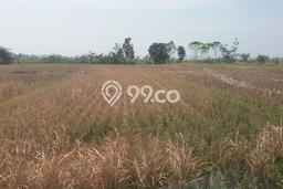 Lahan untuk Dijual Lokasi Soreang, Bandung Luas 1m2 Lain-lain Lahan untuk Dijual Lokasi Soreang, Bandung Luas 1m2 Lain-lain