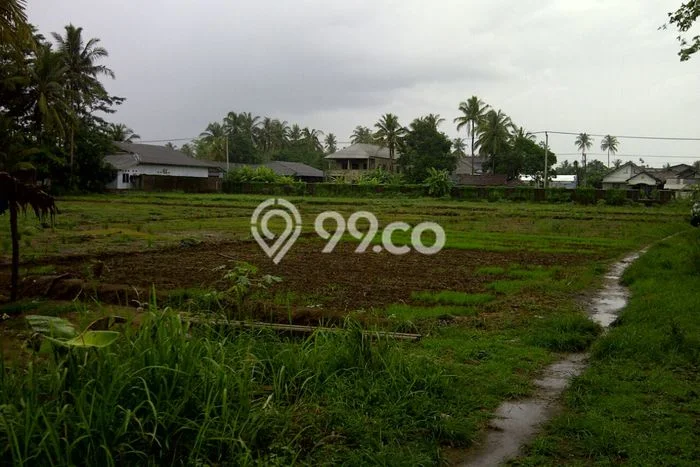 Tanah Kavling Dijual di Panimbang Jaya, Pandeglang dengan Luas Tanah 15000m2 Tanah Kavling Dijual di Panimbang Jaya, Pandeglang dengan Luas Tanah 15000m2