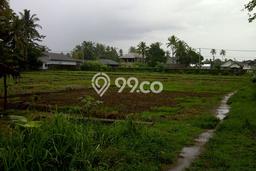 Tanah Kavling Dijual di Panimbang Jaya, Pandeglang dengan Luas Tanah 15000m2 Tanah Kavling Dijual di Panimbang Jaya, Pandeglang dengan Luas Tanah 15000m2