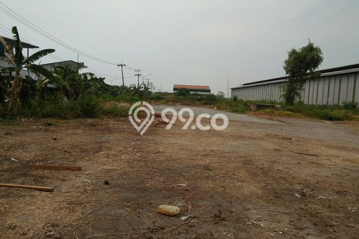 Tanah Disewakan Lokasi Gresik Seluas 8500m2 Strategis dan Aman Tanah Disewakan Lokasi Gresik Seluas 8500m2 Strategis dan Aman