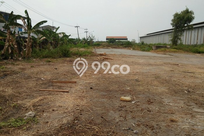 Tanah Disewa Strategis di Gresik Luas 8500m2 Tanah Disewa Strategis di Gresik Luas 8500m2