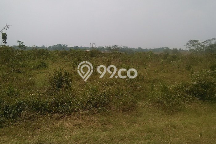 Kavling Tanah Dijual di Jawilan Serang Spesifikasi 420000m2 Kavling Tanah Dijual di Jawilan Serang Spesifikasi 420000m2