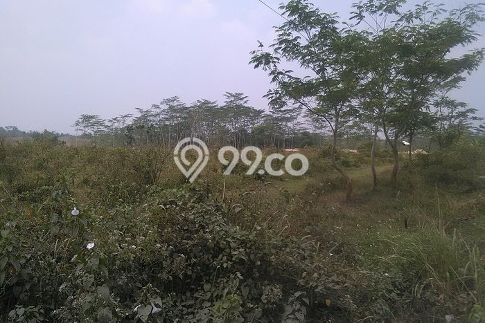 Kavling Tanah Dijual di Jawilan Serang Spesifikasi 420000m2 Kavling Tanah Dijual di Jawilan Serang Spesifikasi 420000m2