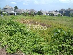 Tanah Kawasan Canggu, Luas 2200m², Area Strategis Tanah Kawasan Canggu, Luas 2200m², Area Strategis