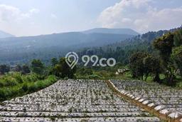 Tanah Dijual Area Strategis di Lembang Bandung 2085m2 Tanah Dijual Area Strategis di Lembang Bandung 2085m2