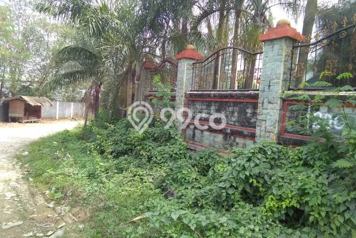 Jarang Ada! Tanah di Cikupa Punya Luas 6000m2 SHM Jarang Ada! Tanah di Cikupa Punya Luas 6000m2 SHM