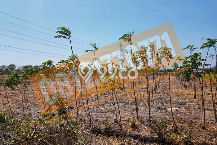 Lahan Strategis di Gondang Dijual dengan Luas 15000m2 Lahan Strategis di Gondang Dijual dengan Luas 15000m2