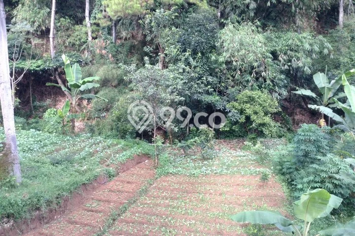 Untuk Dijual Tanah 577m2 di Ciumbuleuit, Bandung Untuk Dijual Tanah 577m2 di Ciumbuleuit, Bandung