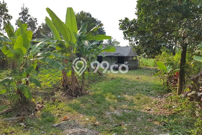 Tanah di Bogor Selatan, Bogor Luas 1606m2 Dijual Segera Tanah di Bogor Selatan, Bogor Luas 1606m2 Dijual Segera