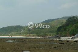 Tanah Dijual Area Strategis di Tanjung Lesung Pandeglang 80000m2 Tanah Dijual Area Strategis di Tanjung Lesung Pandeglang 80000m2