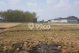 Untuk Dijual Tanah di Kartosuro Solo Luas 2210m2 SHM Untuk Dijual Tanah di Kartosuro Solo Luas 2210m2 SHM