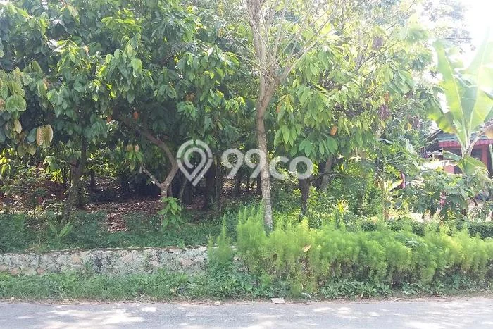 Tanah Kavling untuk Dijual di Kedaton Bandar Lampung 3100m2 Tanah Kavling untuk Dijual di Kedaton Bandar Lampung 3100m2