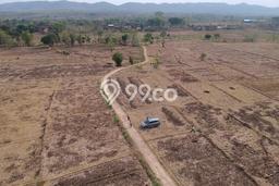 Lahan Dijual Lokasi Tikung, Lamongan dengan Luas Tanah 70000m2 dan Status SHM Lahan Dijual Lokasi Tikung, Lamongan dengan Luas Tanah 70000m2 dan Status SHM