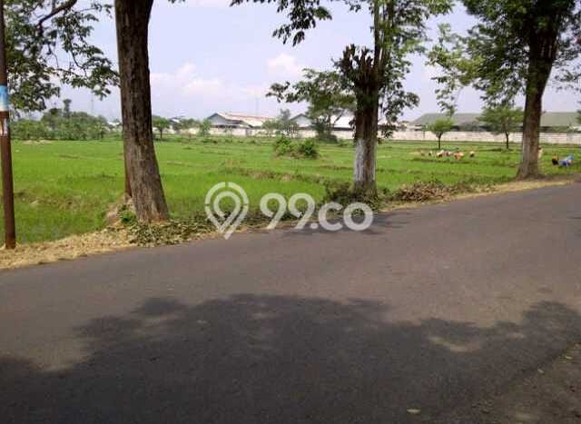 Tanah Dijual Lokasi Sukorejo Pasuruan Lain-lain Tanah Dijual Lokasi Sukorejo Pasuruan Lain-lain