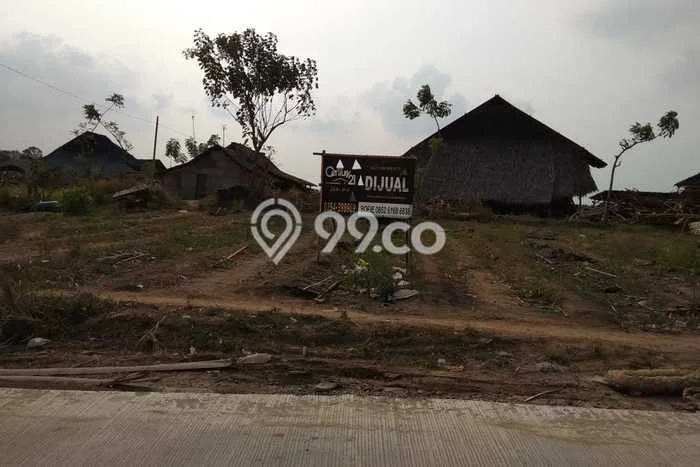 Kavling Tanah di Waringinkurung Dijual Luas 8328m2 Legalitas SHM Kavling Tanah di Waringinkurung Dijual Luas 8328m2 Legalitas SHM
