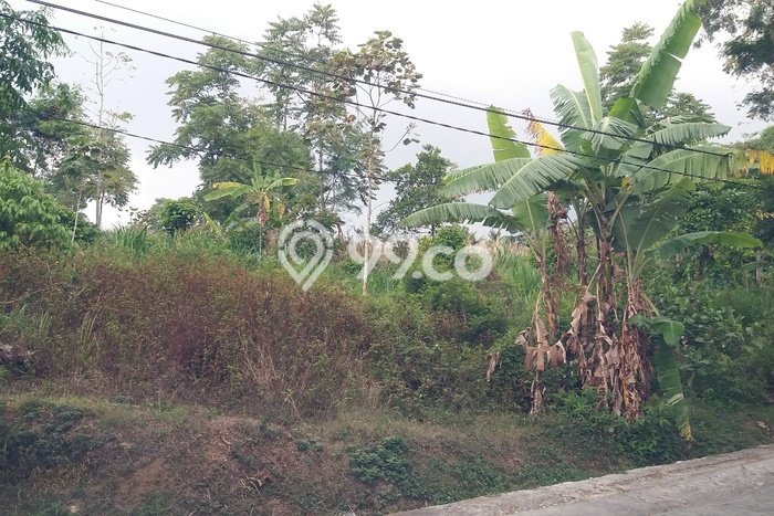 tanah bagus view Bandungan tanah bagus view Bandungan