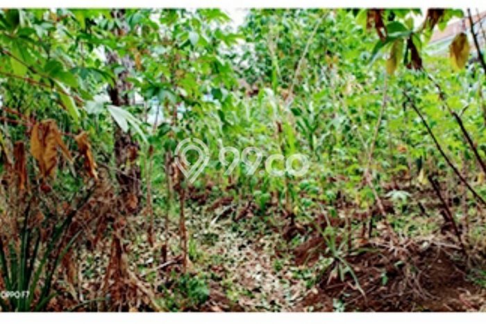 Dijual Tanah Kawasan Cigadung, Luas 440m², Akses Strategis Dijual Tanah Kawasan Cigadung, Luas 440m², Akses Strategis