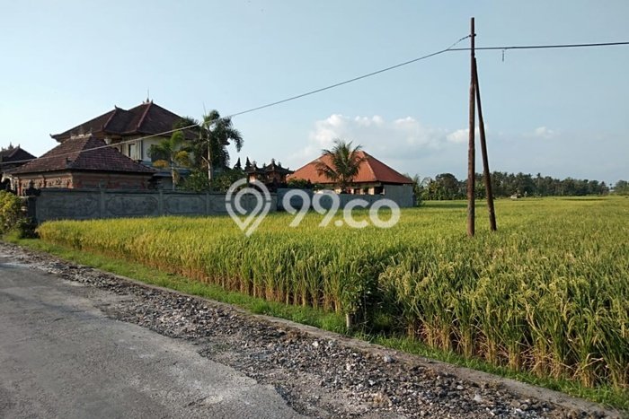 tanah view sawah super keren dekat canggu tanah view sawah super keren dekat canggu