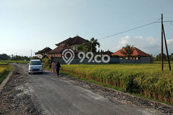 tanah view sawah super keren dekat canggu tanah view sawah super keren dekat canggu