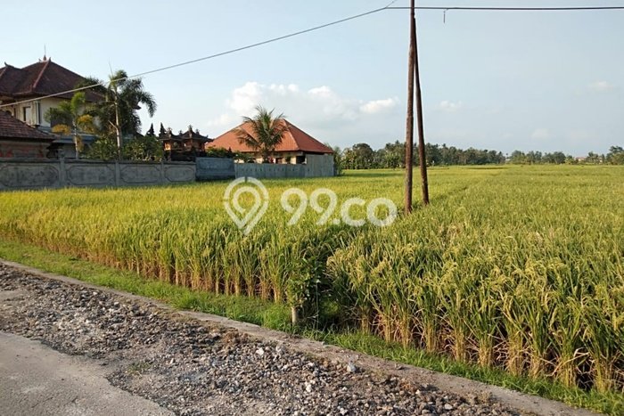 tanah view sawah super keren dekat canggu tanah view sawah super keren dekat canggu