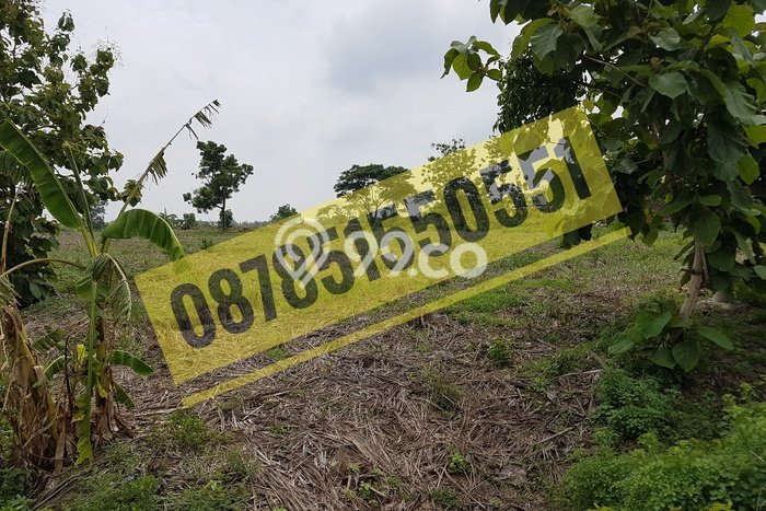 Kavling Tanah Dijual di Mantup, Lamongan, Luas 8900m2 Area Strategis Kavling Tanah Dijual di Mantup, Lamongan, Luas 8900m2 Area Strategis
