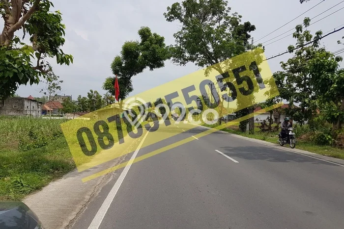Tanah Kavling untuk Dijual di Tikung Lamongan 5000m2 Tanah Kavling untuk Dijual di Tikung Lamongan 5000m2