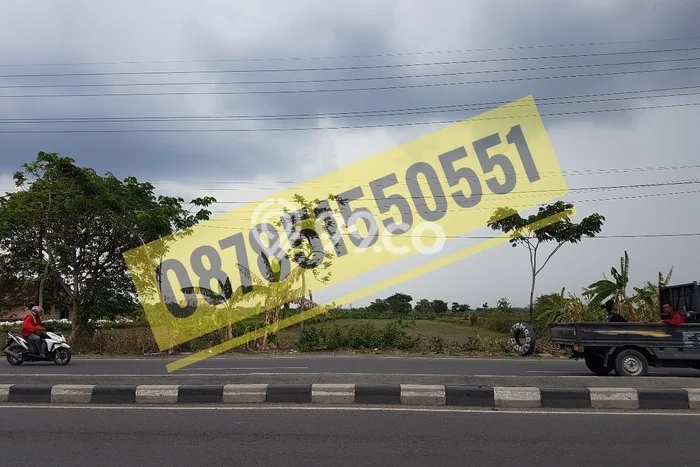 Tanah Dijual Lokasi Sukodadi, Lamongan Luas 6200m2 Legalitas Aman Tanah Dijual Lokasi Sukodadi, Lamongan Luas 6200m2 Legalitas Aman
