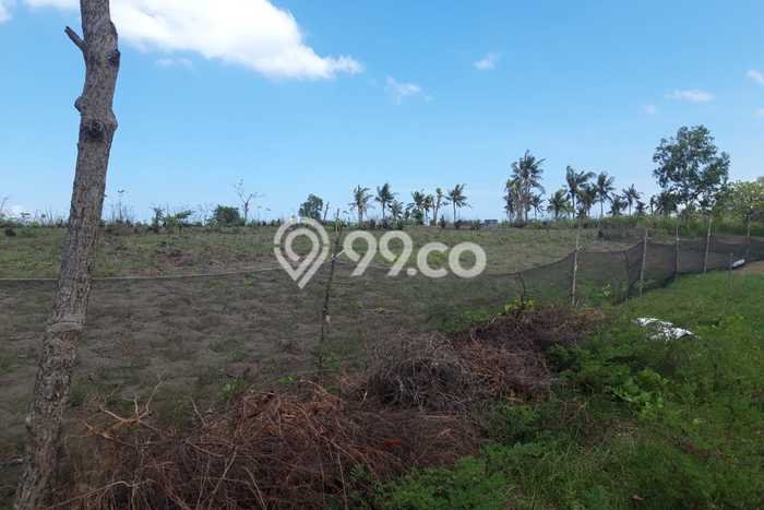 Dijual Tanah di Lombok Barat, Luas 55402m2 SHM Dijual Tanah di Lombok Barat, Luas 55402m2 SHM