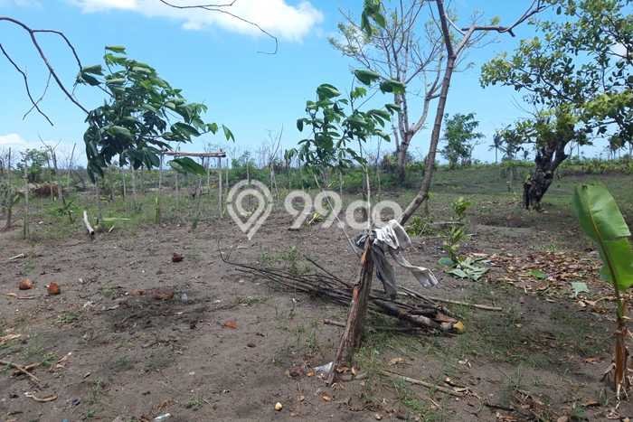 Dijual Tanah di Lombok Barat, Luas 55402m2 SHM Dijual Tanah di Lombok Barat, Luas 55402m2 SHM