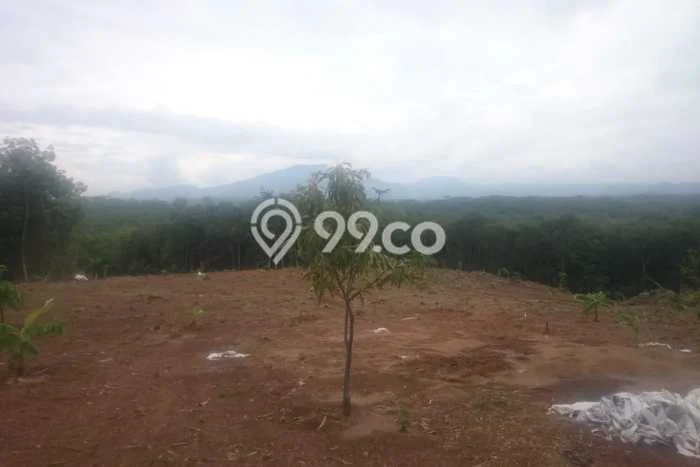 Tanah Kavling Dijual di Tangerang dengan Spesifikasi 100000m2 Tanah Kavling Dijual di Tangerang dengan Spesifikasi 100000m2
