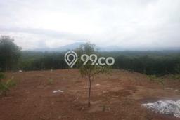 Tanah Kavling Dijual di Tangerang dengan Spesifikasi 100000m2 Tanah Kavling Dijual di Tangerang dengan Spesifikasi 100000m2
