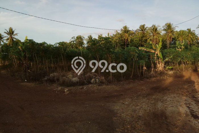Dijual Tanah di Natar Lampung Selatan Luas 150m2 SHM Dijual Tanah di Natar Lampung Selatan Luas 150m2 SHM