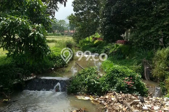 Tanah di Ciawi, Bogor Luas 1m2 Dijual Segera Tanah di Ciawi, Bogor Luas 1m2 Dijual Segera