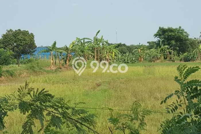 Tanah Kavling di Cikande Dijual dengan Luas 90000m2 Tanah Kavling di Cikande Dijual dengan Luas 90000m2