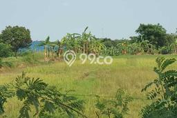 Tanah di Cikande, Serang Luas 90000m2 Dijual Segera Tanah di Cikande, Serang Luas 90000m2 Dijual Segera