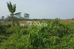 Dijual Tanah di Cikande Serang Luas 18000m2 SHM Dijual Tanah di Cikande Serang Luas 18000m2 SHM