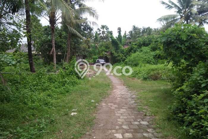 Tanah Dijual di Gianyar Seluas 16000m2 Strategis Tanah Dijual di Gianyar Seluas 16000m2 Strategis