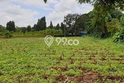 Tanah Dijual Lokasi Cisauk, Tangerang Luas 4000m2 Legalitas Aman Tanah Dijual Lokasi Cisauk, Tangerang Luas 4000m2 Legalitas Aman