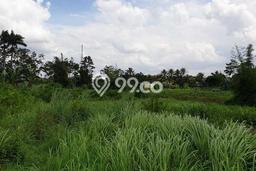 Kavling Tanah di Gunung Sindur Dijual Luas 11000m2 Legalitas SHM Kavling Tanah di Gunung Sindur Dijual Luas 11000m2 Legalitas SHM