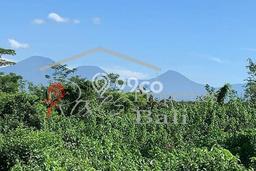 Tanah Dijual di Gianyar Seluas 2995m2 Strategis Tanah Dijual di Gianyar Seluas 2995m2 Strategis