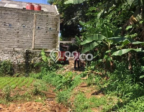 Kavling Tanah Dijual di Bojong Gede Bogor Spesifikasi 1128m2 Kavling Tanah Dijual di Bojong Gede Bogor Spesifikasi 1128m2
