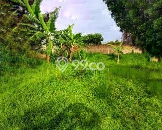 Tanah Kavling untuk Dijual di Sawangan Depok 920m2 Tanah Kavling untuk Dijual di Sawangan Depok 920m2