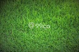 Jual Tanah Area Berkembang Kawasan Wiyung, Luas 585m², Dekat Wiyung, Surabaya, Surabaya Jual Tanah Area Berkembang Kawasan Wiyung, Luas 585m², Dekat Wiyung, Surabaya, Surabaya