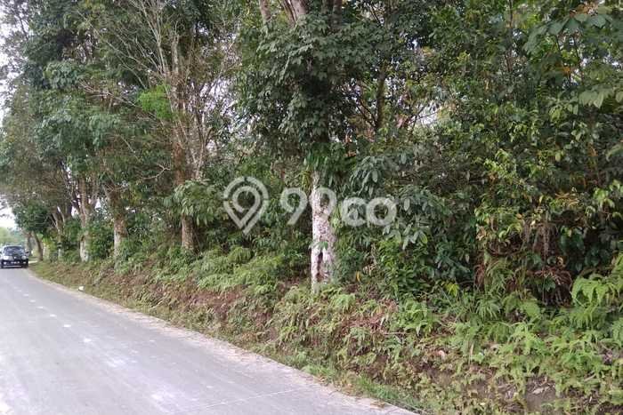 Tanah Lokasi Prima Kawasan Payung Sekaki, Luas 20000m², Lingkungan Nyaman, Akses Payung Sekaki, Pekanbaru, Pekanbaru Tanah Lokasi Prima Kawasan Payung Sekaki, Luas 20000m², Lingkungan Nyaman, Akses Payung Sekaki, Pekanbaru, Pekanbaru