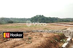 Kavling Tanah di Gunung Sindur Dijual Luas 4000m2 Legalitas SHM Kavling Tanah di Gunung Sindur Dijual Luas 4000m2 Legalitas SHM