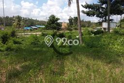 Tanah Kavling untuk Dijual di Citangkil Cilegon 1392m2 Tanah Kavling untuk Dijual di Citangkil Cilegon 1392m2