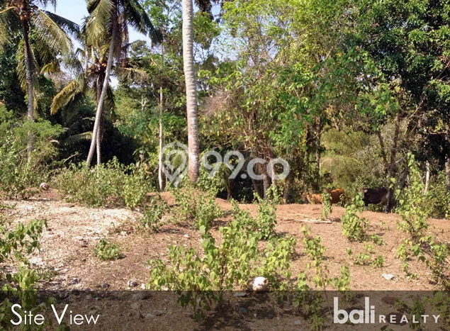 Tanah Dijual Lokasi Strategis di Tabanan dengan Luas 1750m2 Tanah Dijual Lokasi Strategis di Tabanan dengan Luas 1750m2