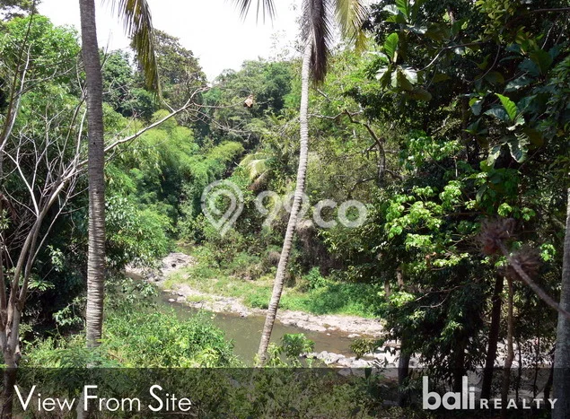 Tanah Dijual Lokasi Strategis di Tabanan dengan Luas 1750m2 Tanah Dijual Lokasi Strategis di Tabanan dengan Luas 1750m2