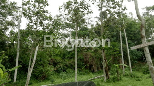 Kavling Tanah Dijual di Kedamean Gresik Spesifikasi 10600m2 Kavling Tanah Dijual di Kedamean Gresik Spesifikasi 10600m2