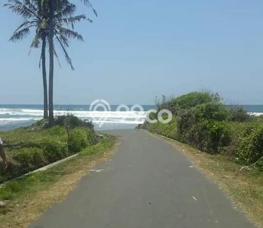 Tanah Dijual Lokasi Kerambitan, Tabanan Luas 95000m2 Legalitas Aman Tanah Dijual Lokasi Kerambitan, Tabanan Luas 95000m2 Legalitas Aman